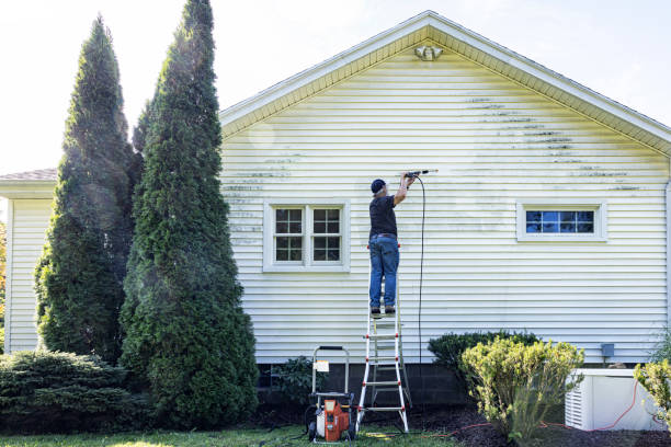 Professional Pressure Washing Services in Mount Oliver, PA